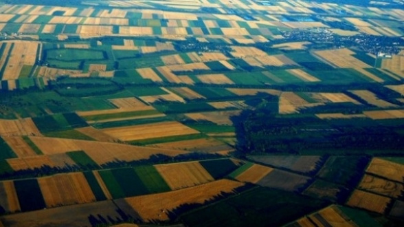 foncier - Mobilisation des terrains domaniaux: 158.365 hectares pour 219 projets au 1er semestre 2021