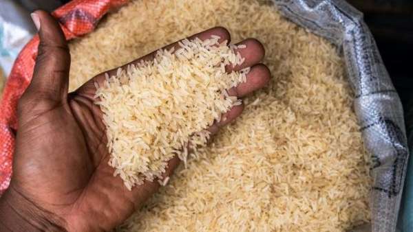 riz bienfaits top 616306cd2c6ec - Riz menacé par l’arsenic: Le réchauffement climatique aggrave-t-il les risques pour la santé?