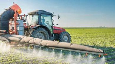 30431096 agro alimentaire 390x220 - Le Made in Morocco en agroalimentaire : Le Maroc à la conquête de sa souveraineté alimentaire et du monde