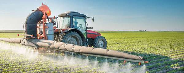 30431096 agro alimentaire - Le Made in Morocco en agroalimentaire : Le Maroc à la conquête de sa souveraineté alimentaire et du monde