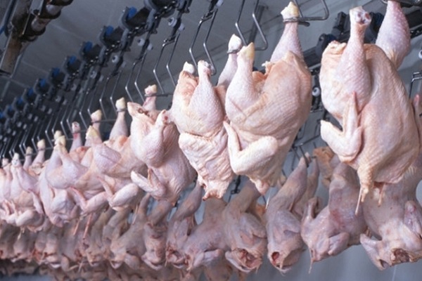 abattage avicole - La FISA accompagne l’installation d’abattoirs avicoles agréés