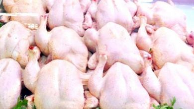 d 314438le prix du poulet en chute libre 398b1 copier 390x220 - Une crise sans précédent dans le secteur avicole : qui est responsable de la flambée des prix ?