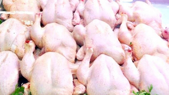 d 314438le prix du poulet en chute libre 398b1 copier - Les parlementaires réclament l'ouverture d'une enquête suite à l'augmentation du prix du poulet