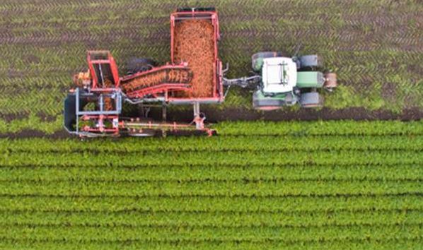 agriculture e1652578247989 - “UM6P-Al Moutmir” semis-direct: plus de 25.000 ha ciblés en 2022-2023