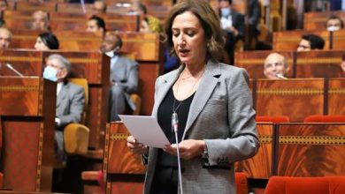 Tourisme interne : 30 millions de nuitées et une nouvelle dynamique de développement économique ammor 390x220 - Tourisme interne : 30 millions de nuitées et une nouvelle dynamique de développement économique