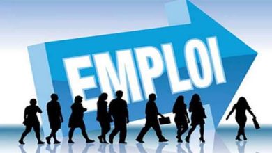 emploi 1000 390x220 - Marché du travail 2025 : plus d’emplois créés, mais la précarité gagne du terrain