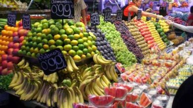 maroc exportations fruits legumes espagne 390x220 - Tarifs hebdomadaires du marché de gros de Casablanca : derniers prix de gros des fruits, des légumes et des viandes