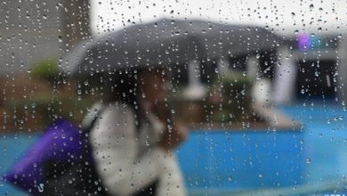 pluie 504x300 1 390x220 - Fortes pluies parfois orageuses et chute de neige jeudi et vendredi dans plusieurs provinces du Royaume (Bulletin d'alerte)