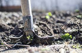 telechargement 5 - Province de Berrechid : lancement du projet de plantation de 2022 arbres au sein des établissements scolaires