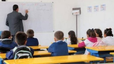 6206b5ad37a73 390x220 - La promotion de l'éducation, des sciences et de la culture est un levier essentiel pour atteindre les ODD (M. Benmoussa)