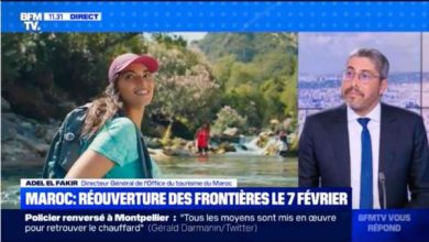 Adel El Fakir BFM TV scaled 1 390x220 - M. Fakir présente le programme de relance de la destination »Maroc »
