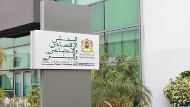 F9F6A7B3 62D0 4234 860A 1BBC8418C05D 390x220 - Le CESE adopte son avis sur les pertes et gaspillage alimentaires au Maroc