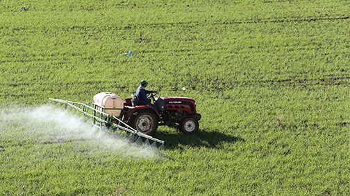 agriculture 1 e1685977263495 - Perte de 247 000 emplois dans le secteur de l'agriculture