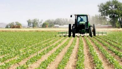 L’ADA lance le concours national “Agriyoung Innovate” pour la promotion de l’entrepreneuriat des jeunes campagne agricole maroc 5 390x220 - L’ADA lance le concours national “Agriyoung Innovate” pour la promotion de l’entrepreneuriat des jeunes