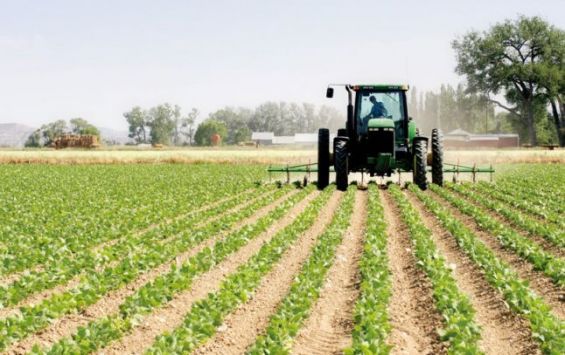 campagne agricole maroc 5 - Les activités agricoles en repli de 15,2% en 2022