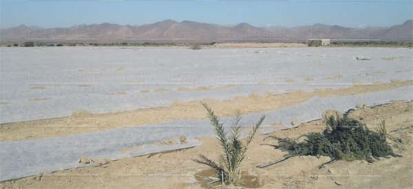 foum zguid 2 093 0 - Zagora: surexploitée, la nappe phréatique proche de l'épuisement
