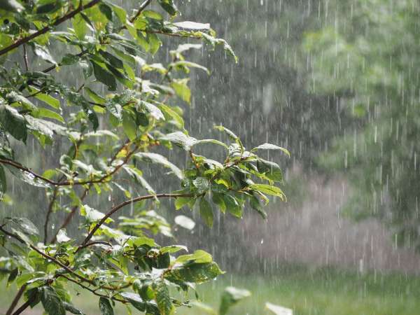 pluie - Retard des pluies: le gouvernement lancera "prochainement" une série d'initiatives (M. Baitas)