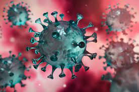 telechargement 10 - Covid-19: 1.333 nouveaux cas, plus de 5 millions de personnes ont reçu trois doses du vaccin