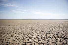 telechargement 14 - Le Maroc confronté à une pénurie d'eau "sans précédent" selon la Banque mondiale