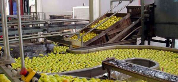 industries agroalimentaires - Banque de projets : 1.400 projets industriels, dont 358 dédiés à l’agroalimentaire