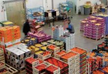 Export des fruits et legumes 220x150 - Froid et pluies persistantes : les récoltes sous pression et les prix en hausse