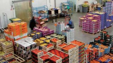 Export des fruits et legumes 390x220 - Froid et pluies persistantes : les récoltes sous pression et les prix en hausse