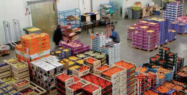 Export des fruits et legumes - Export: 68 milliards de DH de produits agroalimentaires exportés durant la campagne 2021-2022
