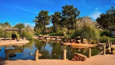 n RABAT ZOO 628x314 1 390x220 - Joel Sartore, le photographe de National Geographic présente son projet "The Photo Ark" au Jardin Zoologique de Rabat