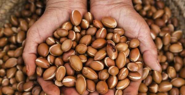 argan oil 780x400 1 - Agadir: 2ème édition du Salon International de l'Arganier du 17 au 21 mai 2023