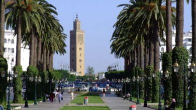 Le ministère du Tourisme prévoit de doubler la capacité d’accueil de la région de Rabat d’ici 2026 histoire rabat 390x220 - Le ministère du Tourisme prévoit de doubler la capacité d’accueil de la région de Rabat d’ici 2026