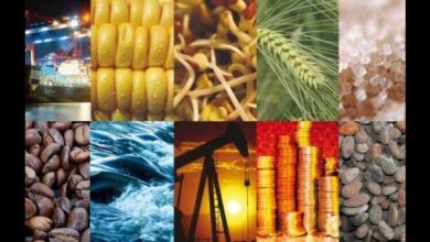 nutrition 390x220 - Matières premières: flambée des prix en 50 ans