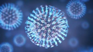 variole singe 390x220 - Variole du singe : le ministère de la santé prend les devants