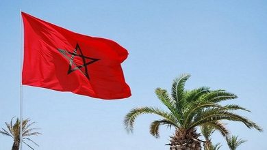 drapeau maroc 2 390x220 - Le Made in Morocco séduit-il vraiment les Marocains ?