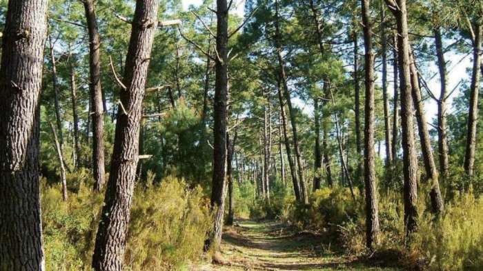 eaux et forets - Rabat: Installation de M. Abderrahim Houmy, nouveau DG de l’Agence nationale des eaux et forêts