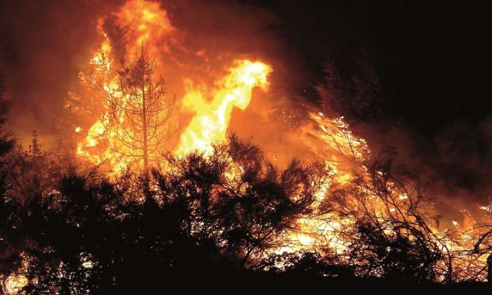 incendie - Feux de forêt: la superficie touchée atteint 10.300 ha