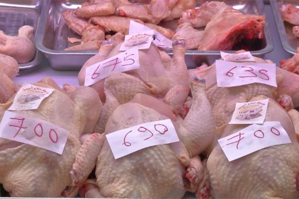 poule algerie volailles  - Algérie ... Flambée des prix et dégradation du pouvoir d’achat