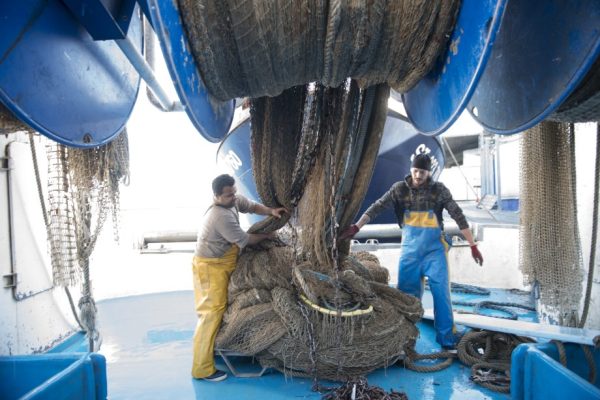 Pêche, hausse de la valeur des produits commercialisés de 13% à fin février (ONP) pf pecheurs sete gaetang crlarnicol 600x400 - Pêche, hausse de la valeur des produits commercialisés de 13% à fin février (ONP)