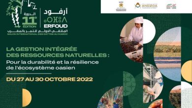 1150 KV Sidattes2022 VFR page 0001 390x220 - Le Salon International des Dattes au Maroc à Erfoud est de retour pour sa 11ème édition du 27 au 30 Octobre 2022