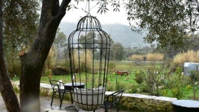 DJEBLI CLUB3 390x220 - Mokrisset 2030: Village des Arts et de la Culture