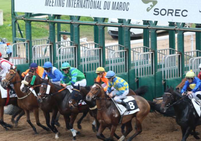 chevaux - Meeting international du Maroc des courses de chevaux: le cheval Volver remporte le Grand Prix de SM le Roi Mohammed VI du Pur-sang Anglais