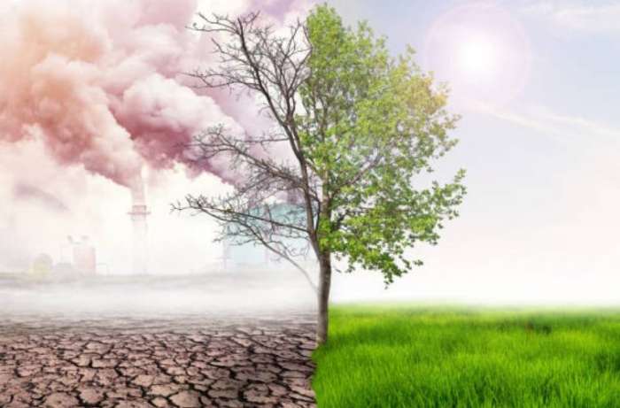 Le defi de la decarbonation 759x500 1 - Le Maroc est à la pointe de la décarbonation de son économie (diplomate suisse)