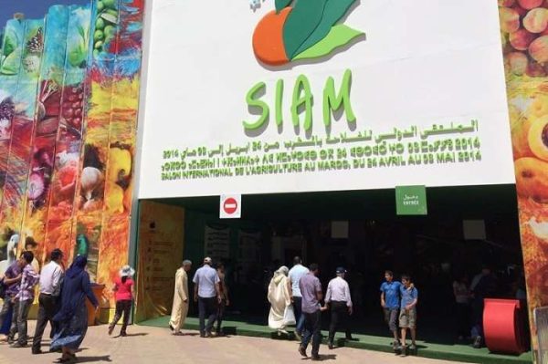 SIAM 600x399 - SIAM: l'édition 2023 se tiendra du 2 au 7 mai à Meknès