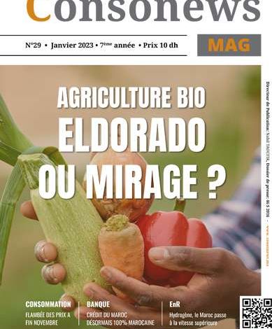 conso mag janvier 2023 389x470 - N°29 – Janvier 2023