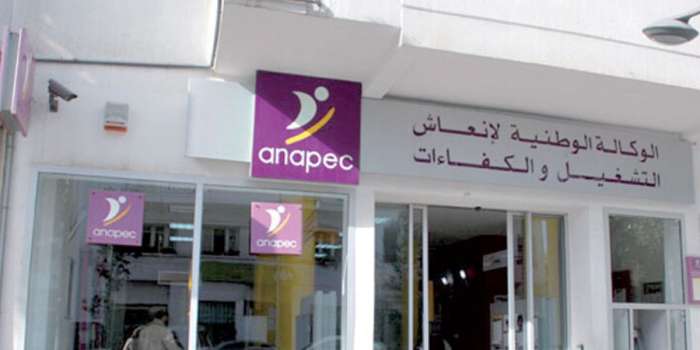 ANAPEC - ANAPEC : coup d’envoi du plan opérationnel “Génération Entrepreneurs”