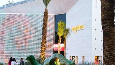 Photo Meydene 2 e1675696771334 390x220 - Meydene au service de l’art contemporain africain