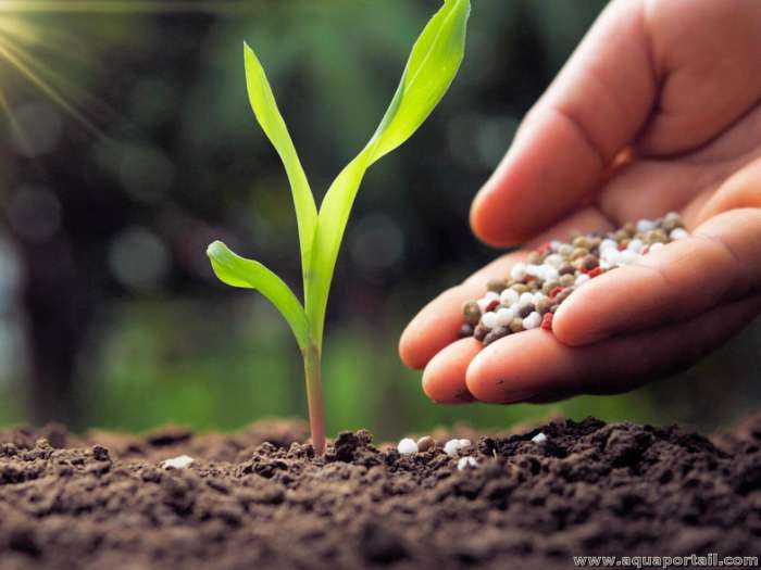 fertilisation sol - Fertilisants: les initiatives de OCP Africa mises en avant à Nairobi