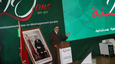 oujda a lheure des orientales 390x220 - Les Orientales 2023 : les stratégies de développement régionales sont sur les bons rails