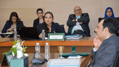 unnamed 1 390x220 - OFPPT : Le conseil d'administration approuve le plan d'action et le budget 2023