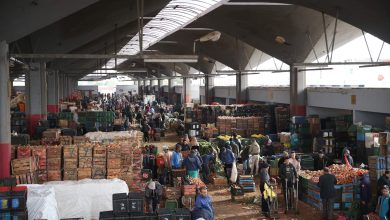 marche de gros 390x220 - Marchés de gros, des scandales à la pelle