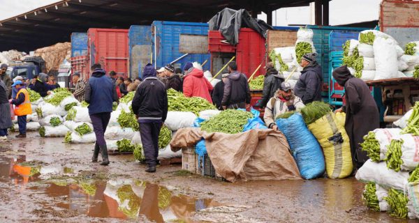 marche de gros des fruits et legumes01275 1676463249 600x320 - Casablanca: un marché de gros nouvelle génération en projet
